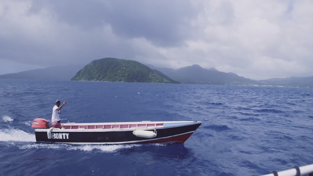 1f19e20e-4de9-4dc8-a953-110596915c53