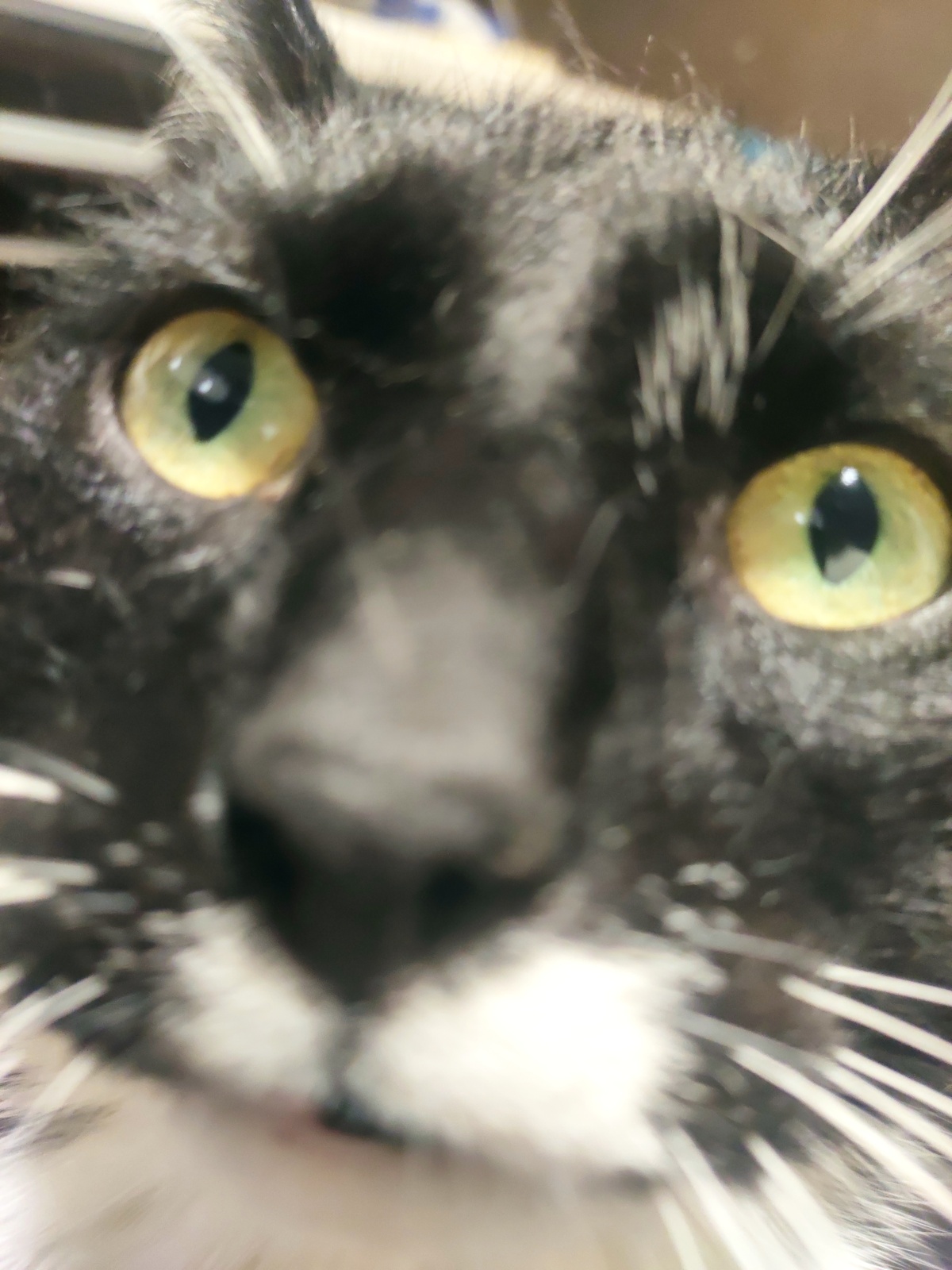 eec2fdcb-55cb-4068-b90c-bb524bc3f159