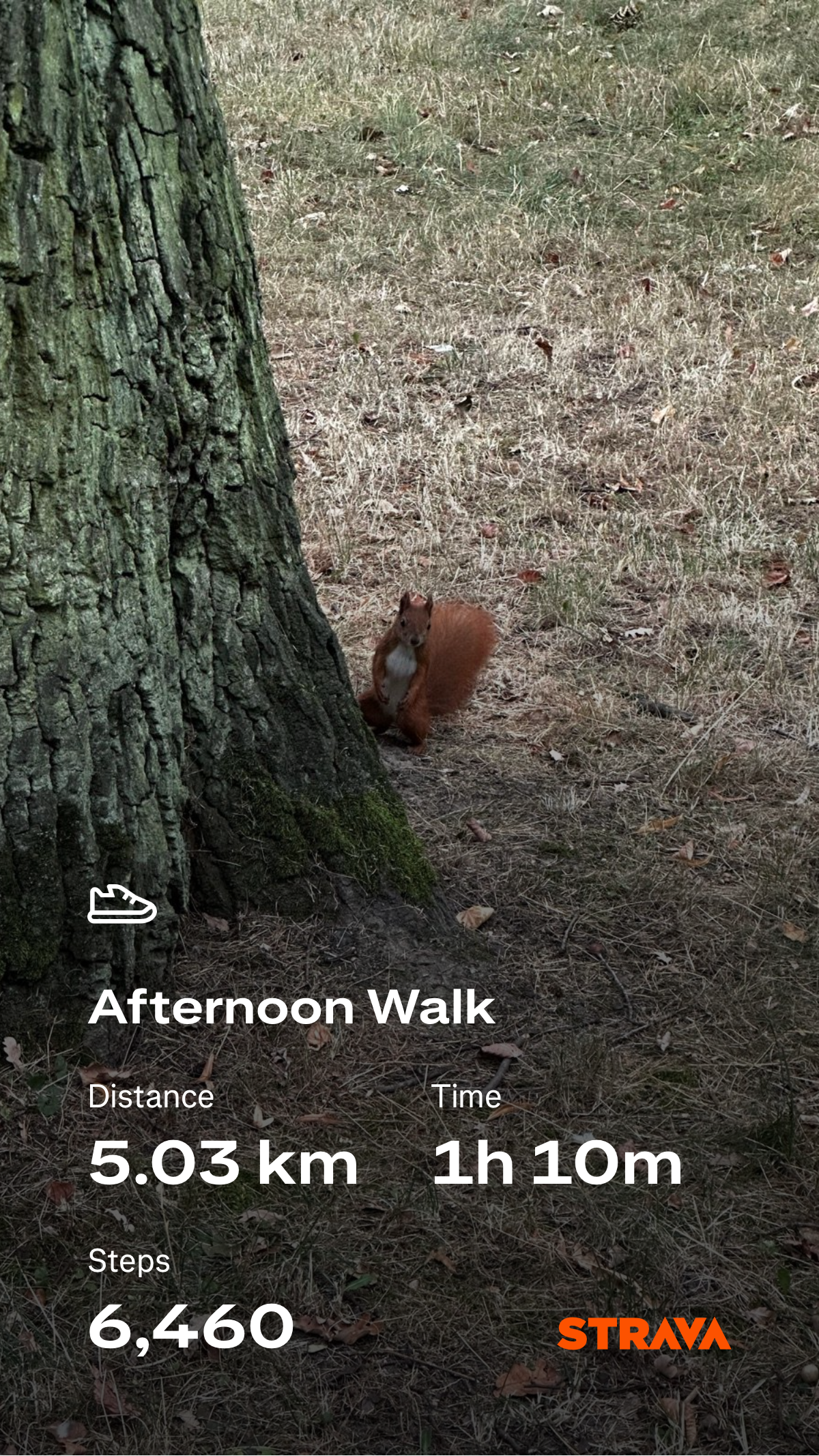 be3ec95e-23fc-466c-a1b1-8c35f743b21e