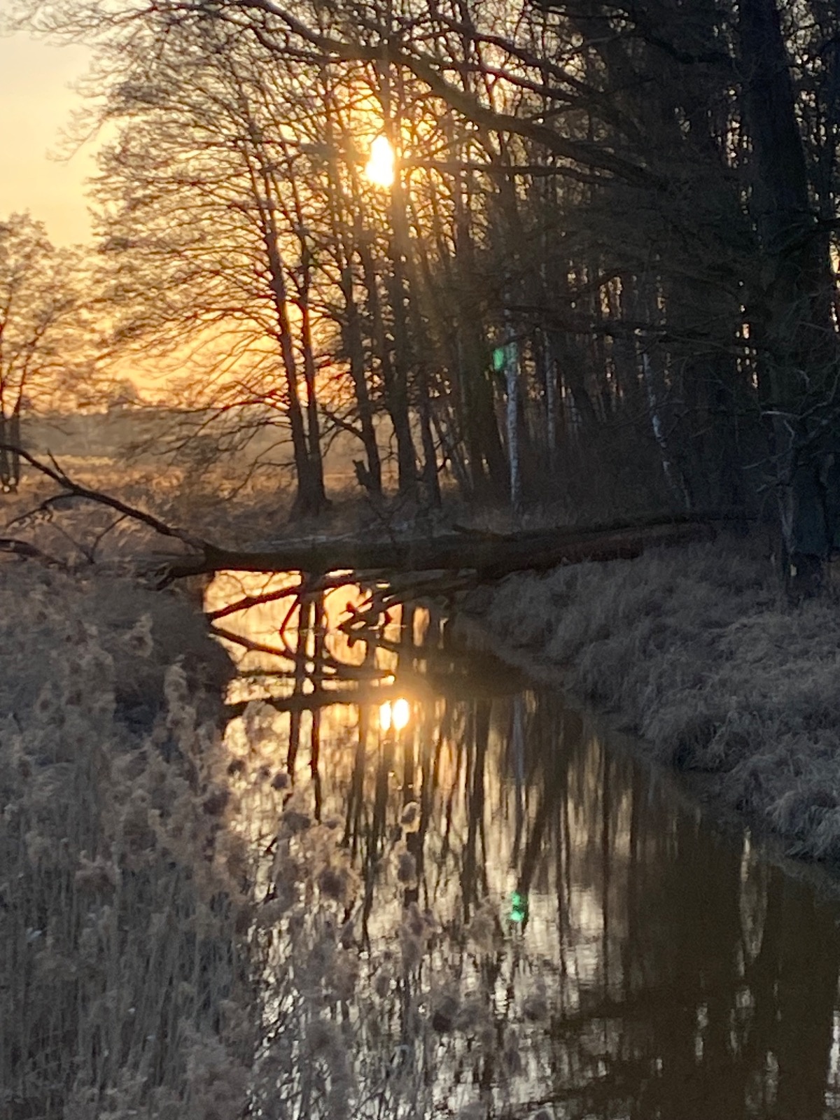 7eafe33f-bdd1-47aa-a760-50f00e7a0502