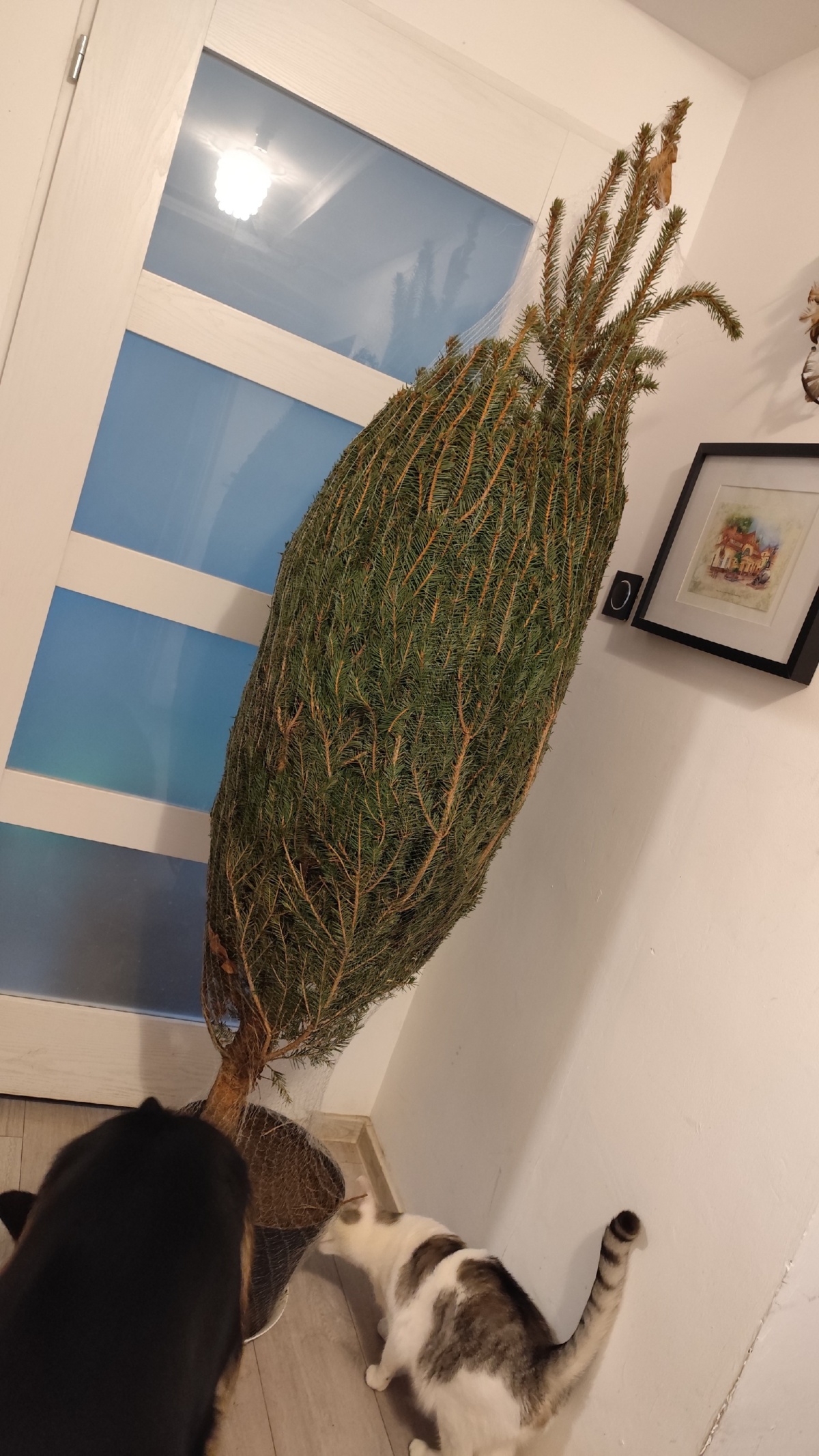 650bef78-a3fe-4356-9b22-8ba001bc7aa9