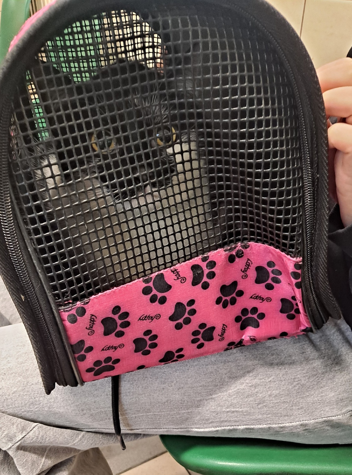 d316f7fb-ea87-4e76-8ad5-6a17d0cc09d5