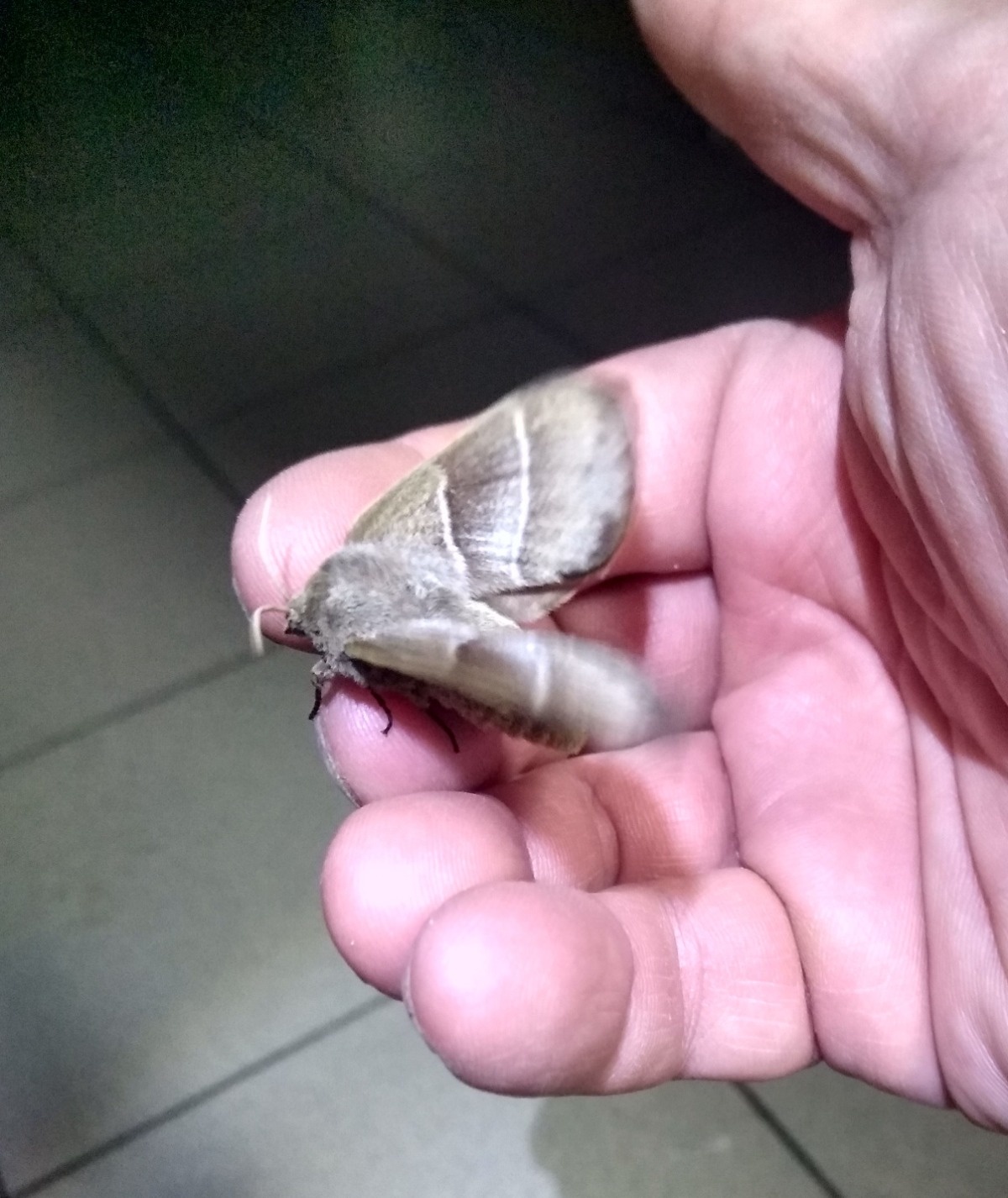 811d0163-ffb3-439d-8190-193bee63dac6