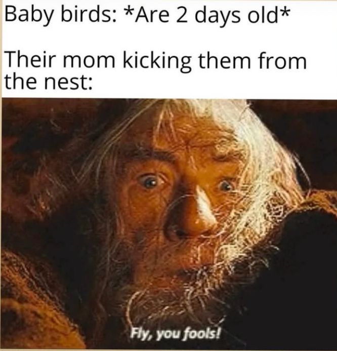 ce6781ed-bfc9-48d2-8e50-2690ace65ba1