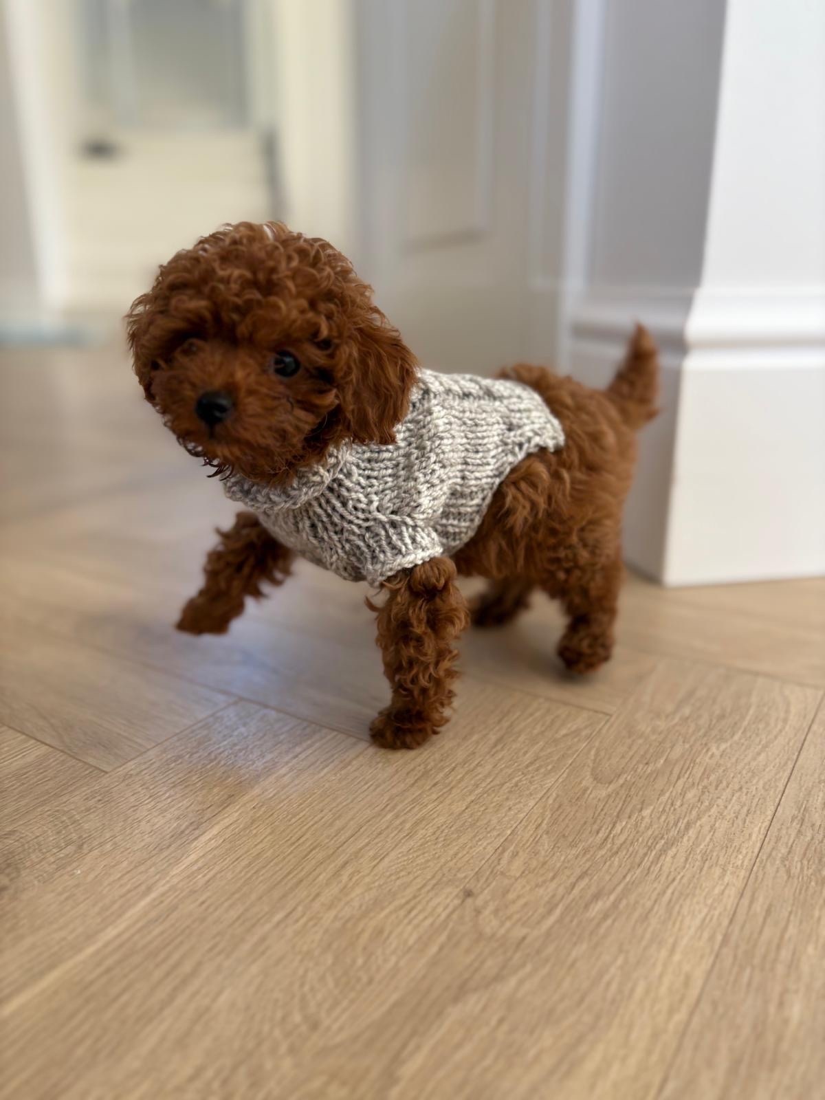 98ce88f0-640d-41cf-8ac4-8e5c99350b98