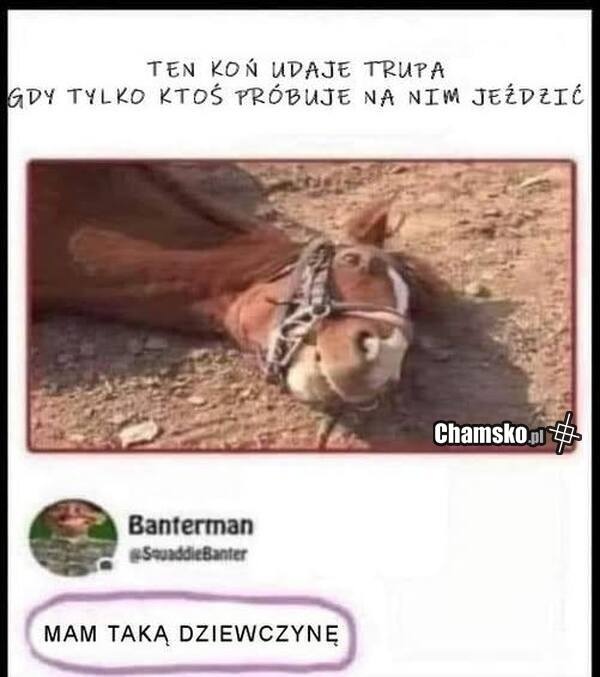 82f24c14-7713-49e9-bffd-255a2ba92de8