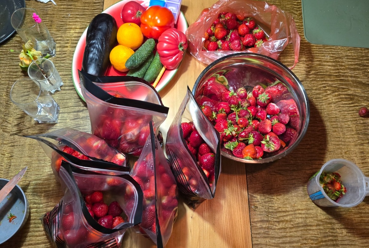 740f14b9-cba9-4ebc-95ec-223ce1f7dd5d