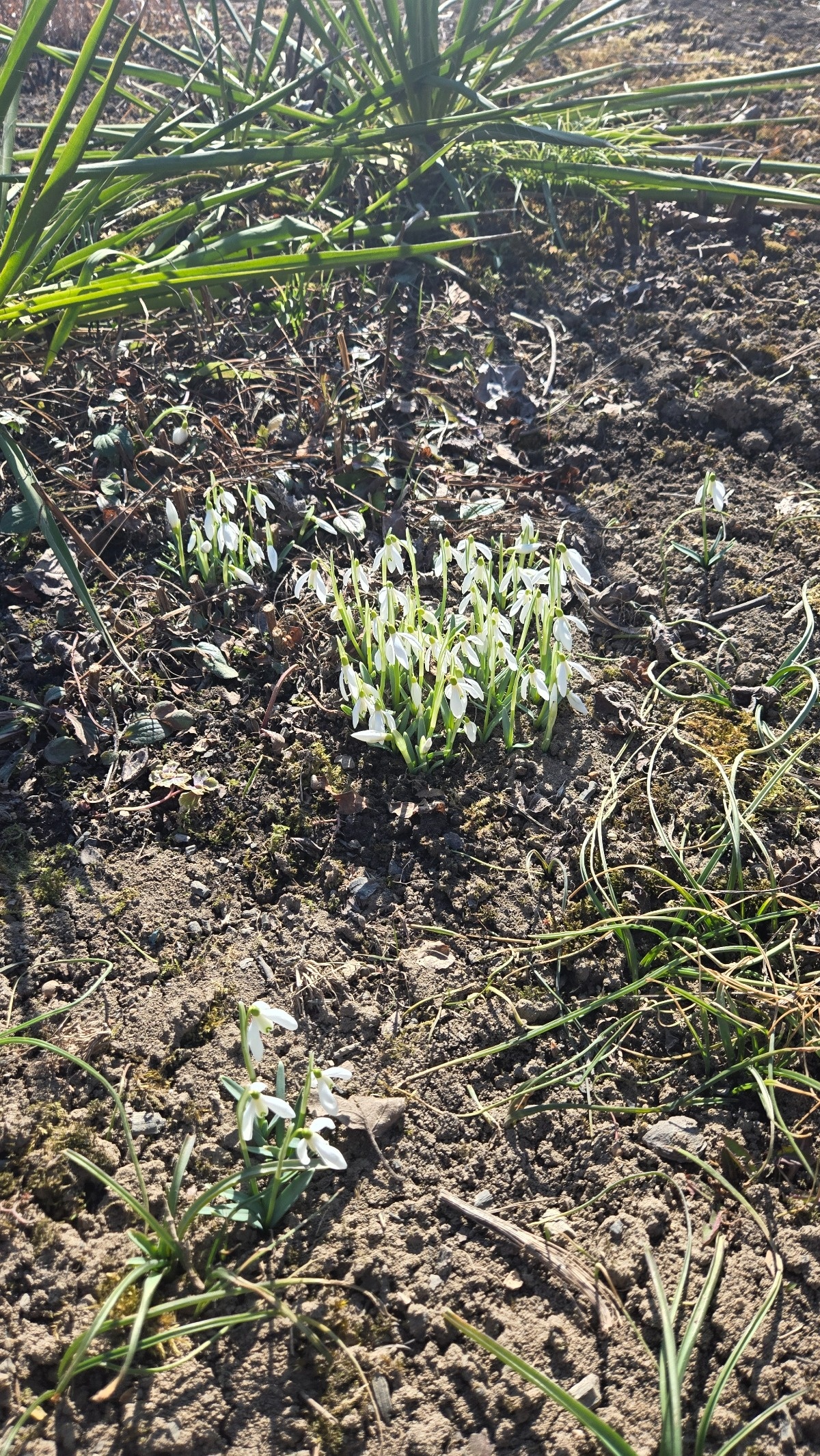 ce0656a4-e655-40ae-a8c9-a4612c098b6c