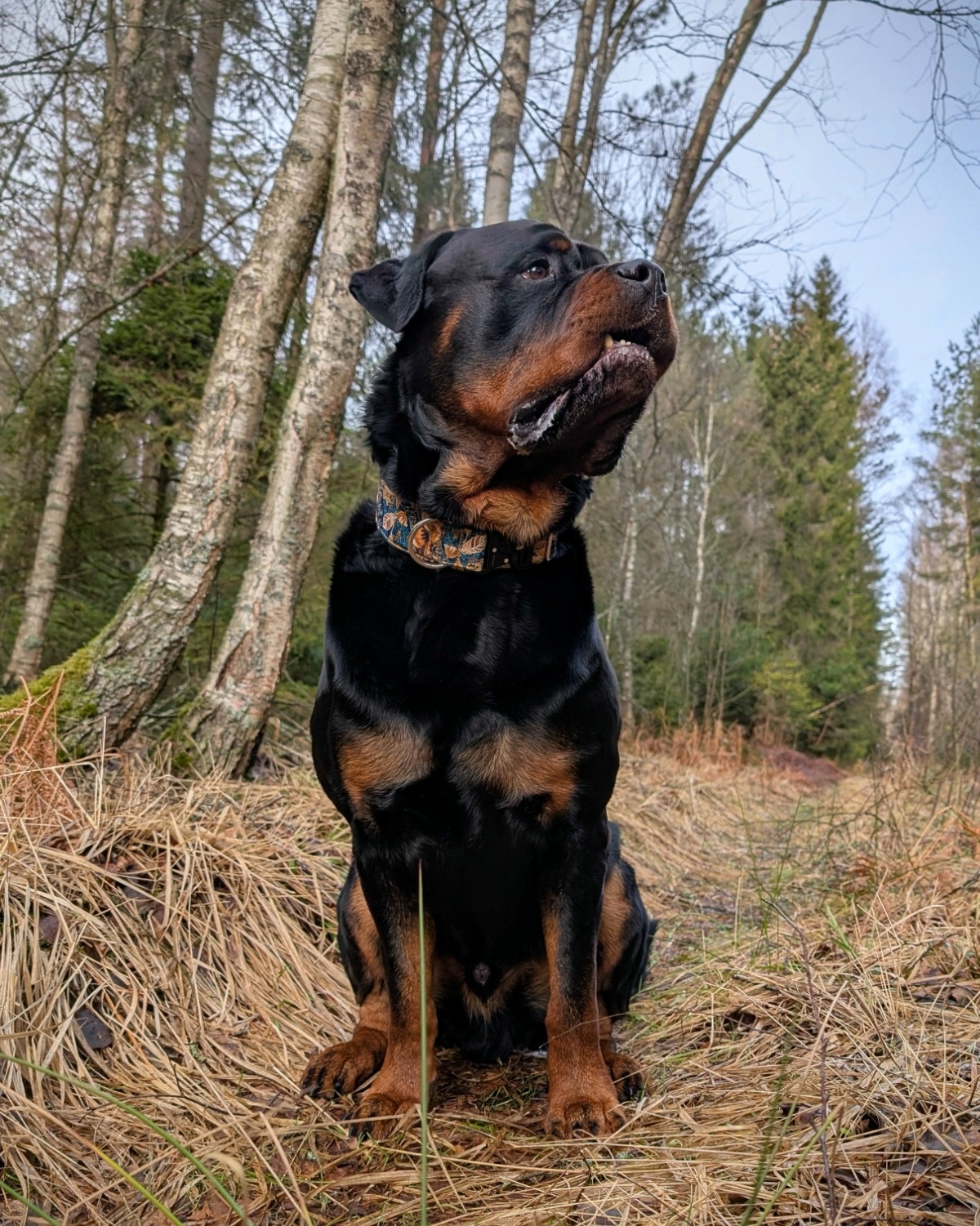 d89b5e17-1662-4785-ae18-4f0be672f9d6