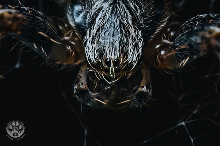 08efb480-e0f4-4557-92ae-5585f58ff894