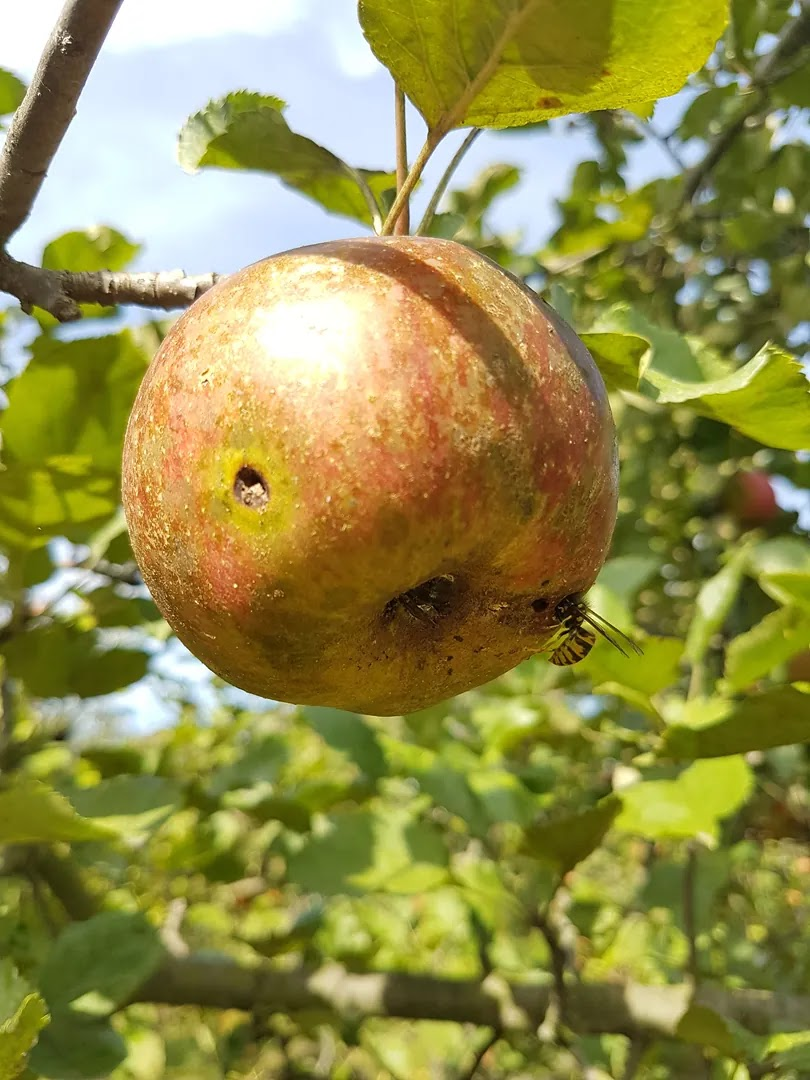 36c927dd-8817-4cf4-9b33-f4a211bbd524