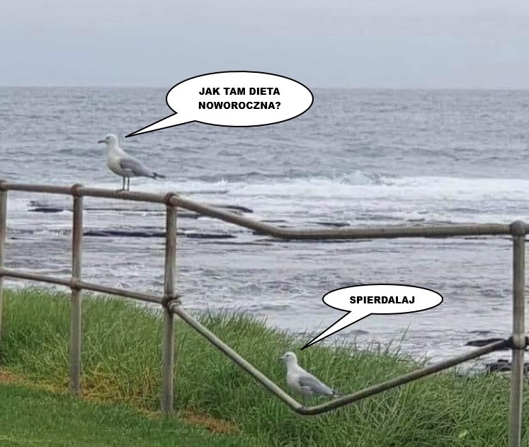 ba57fe69-983e-452d-a3c0-65d90ddc8968