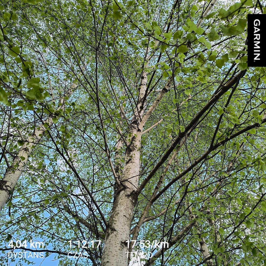 5de0b2da-340b-4990-89e9-8fb2eda29531