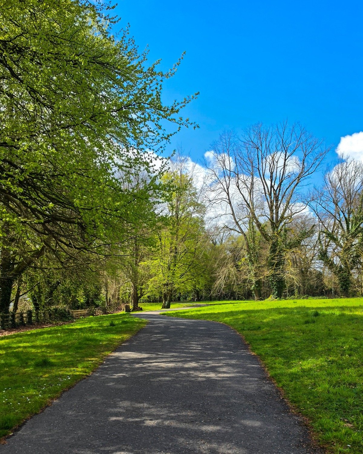 1b761363-5fcd-4003-9071-f5cda1121df7