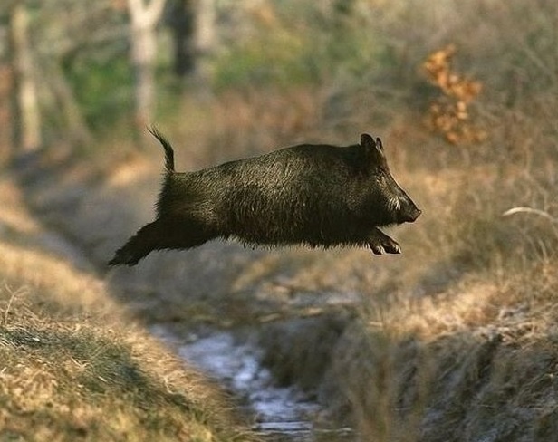 85ac9fad-e29d-46a3-a43a-fb1c2c977335