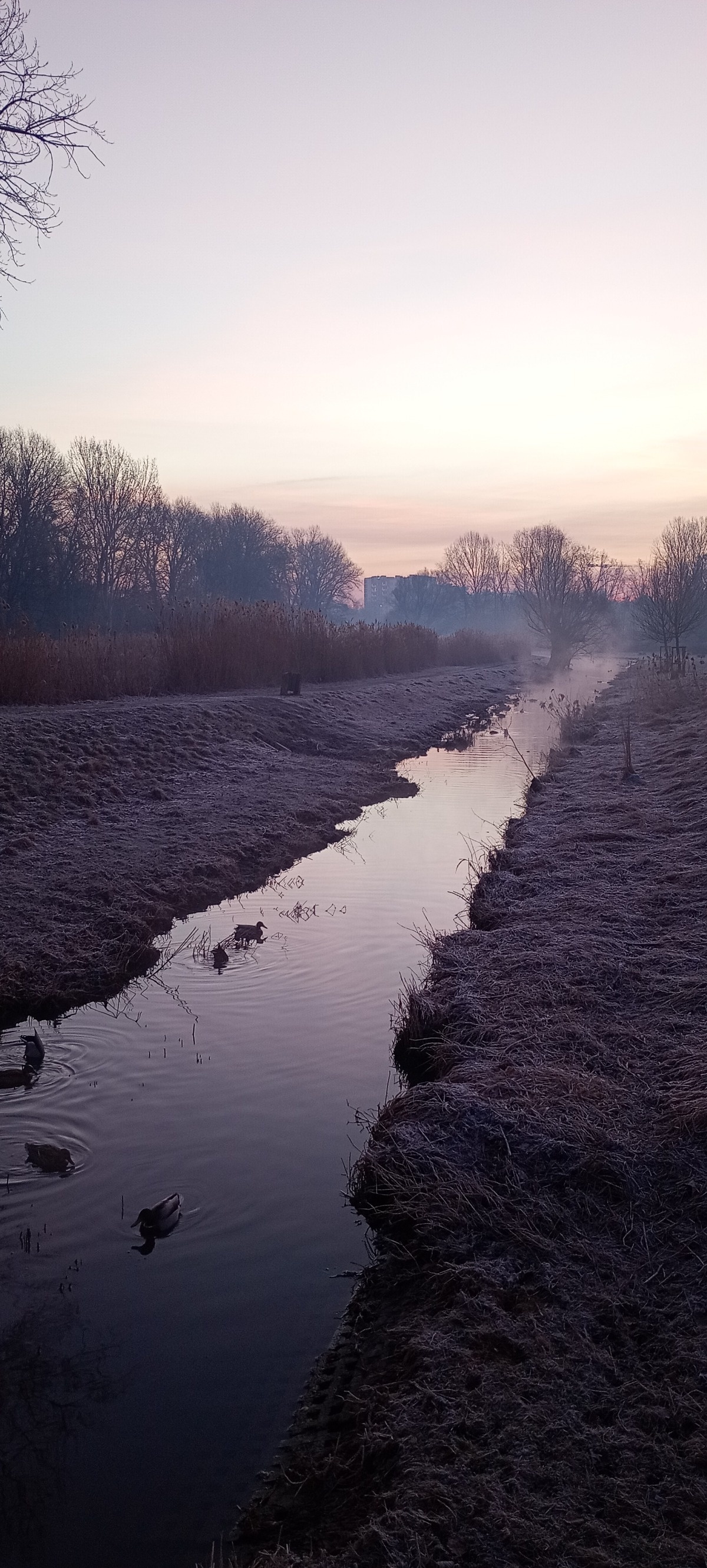 4d0abd4e-52f1-4024-9ef4-cafc7599b961