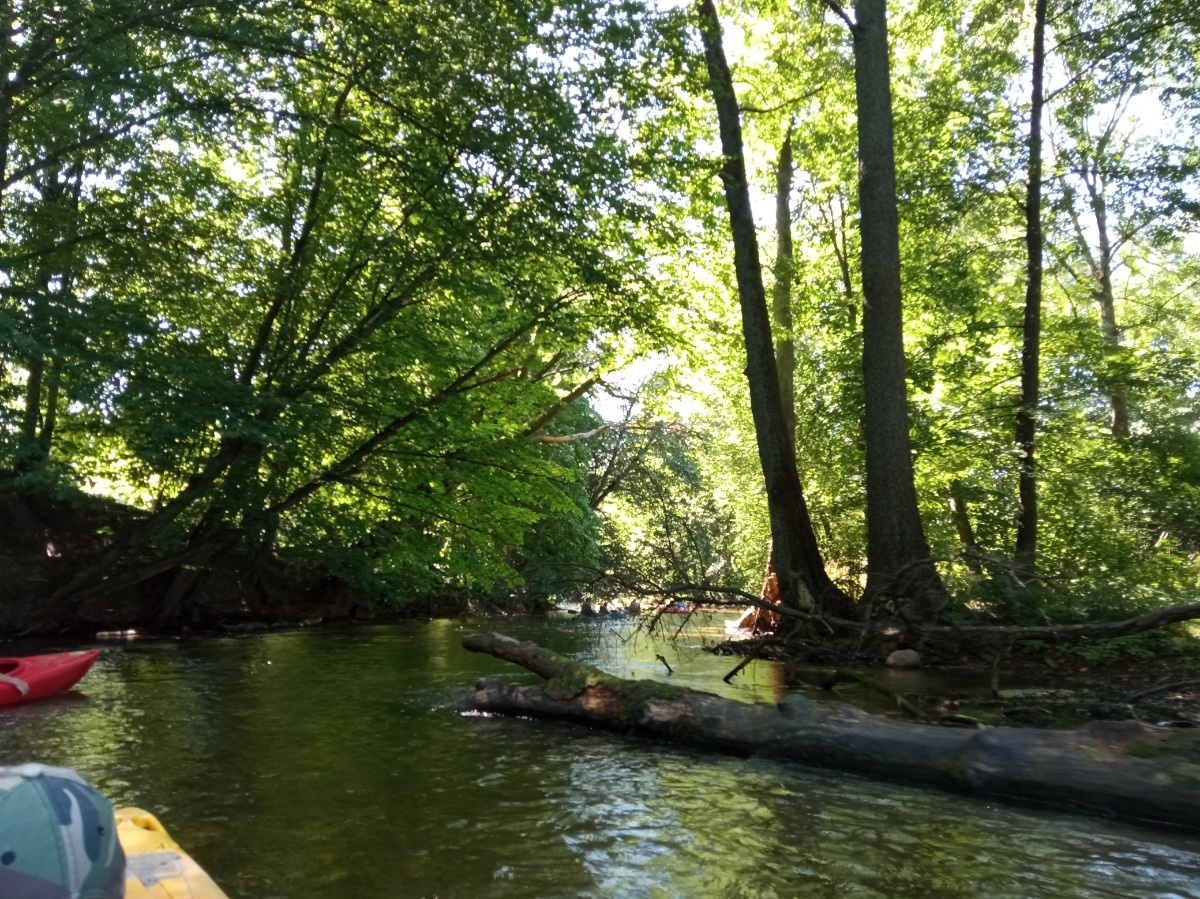 6d1801b3-7cd1-4605-b8fd-e197c7fd3087