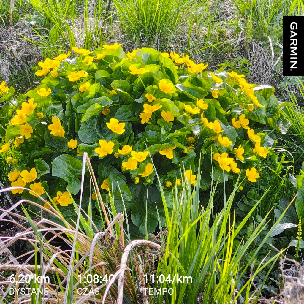 cb05099c-73db-4857-aa21-c64fd138b67e