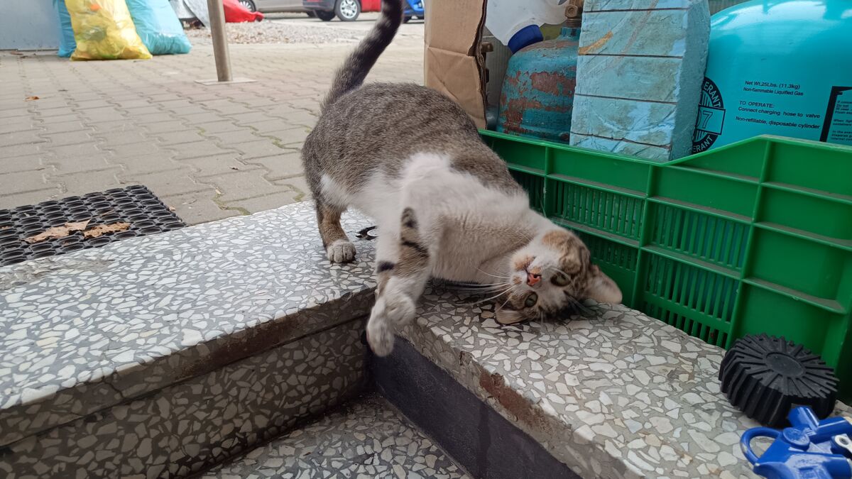 e3f806dd-c931-48cd-bd23-4a48a2caeb59