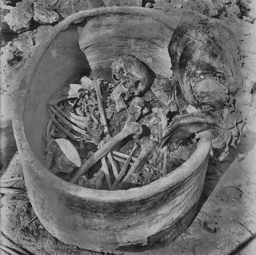 Uzyskano najstarszy i najbardziej kompletny genom ze starożytnego Egiptu