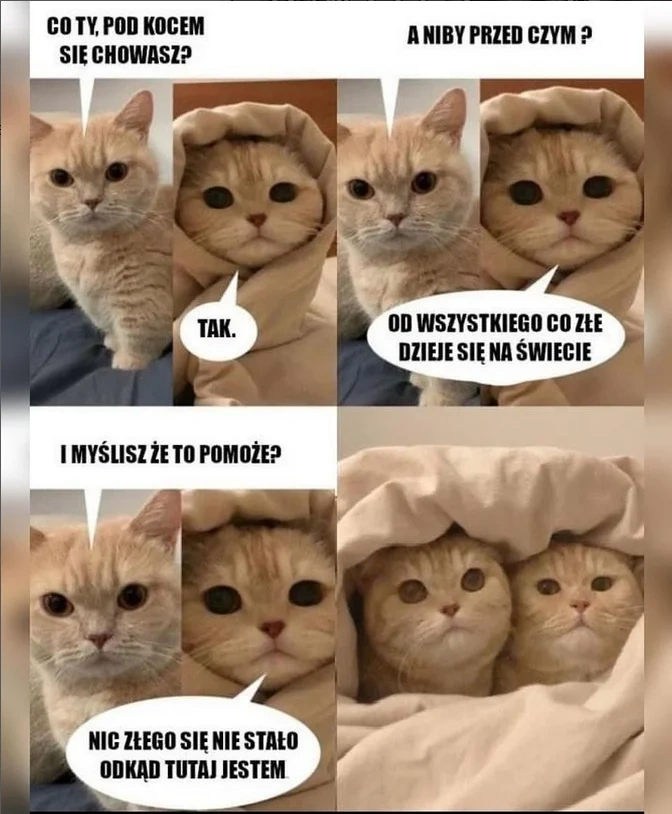 5224625c-b394-40e8-ae92-b3a94813b8aa