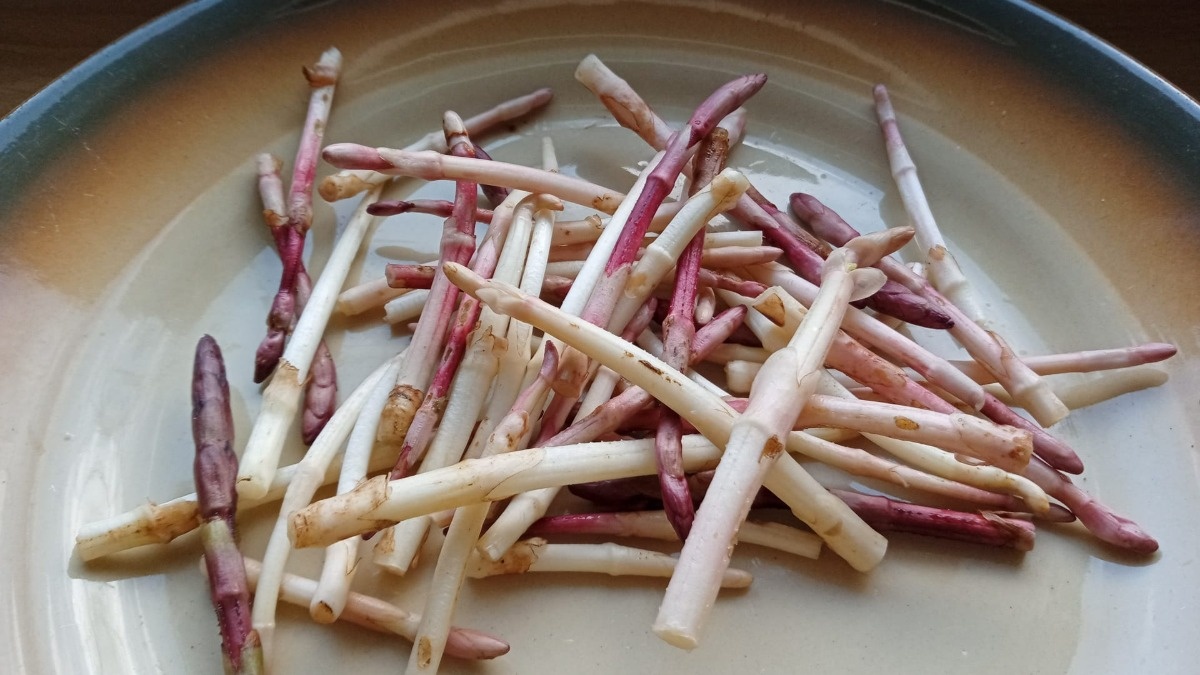 93d7a62d-9395-4fa3-9a31-c8efe8183fd4