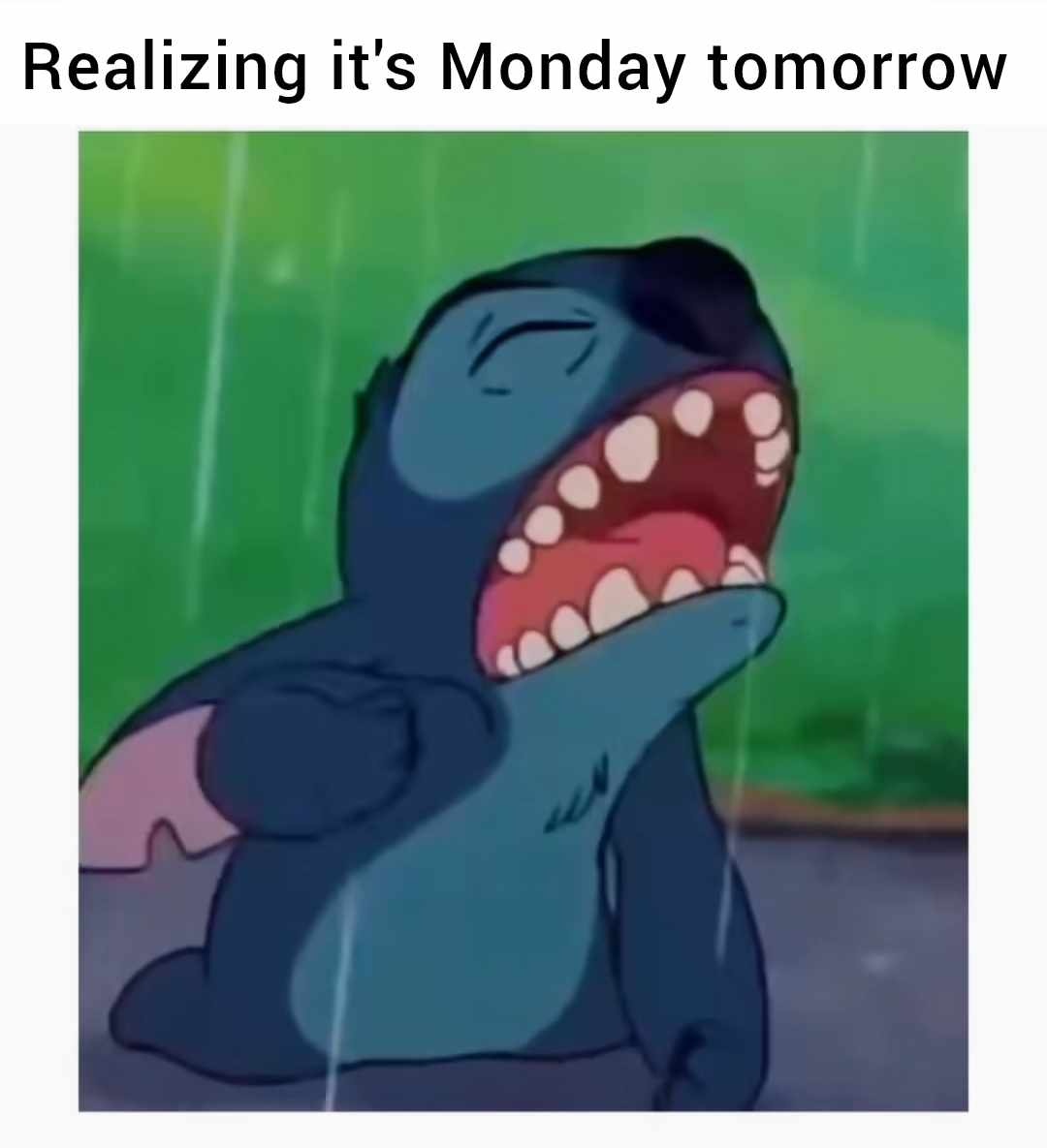 589fba93-01c9-4014-977b-4ac745bf01c6