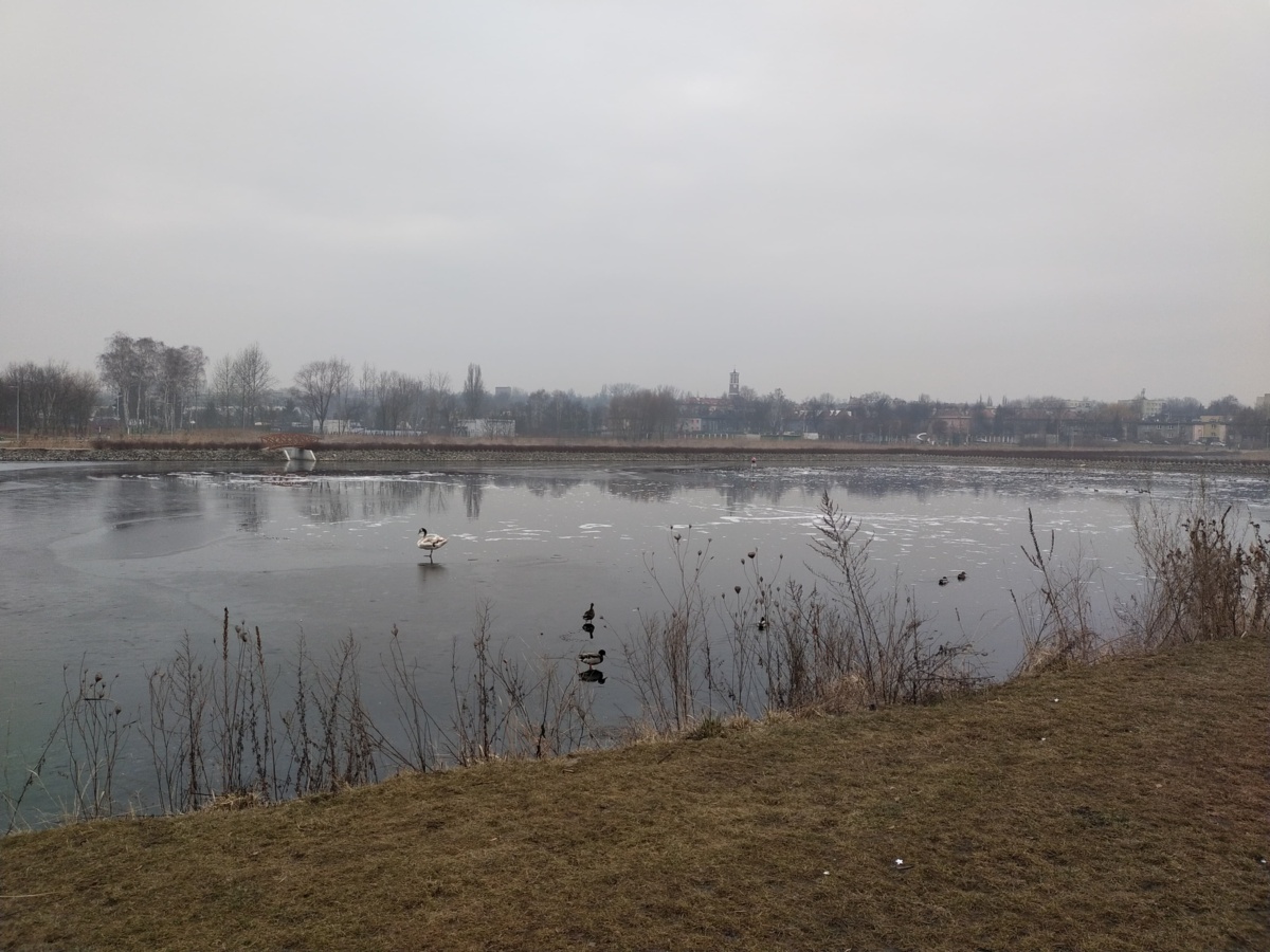 4f222373-8a9f-4939-bb4e-e1e79283f36c