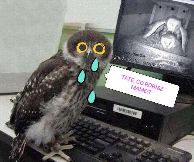 5a34c103-9757-41c5-b411-e0ca44fc4d89