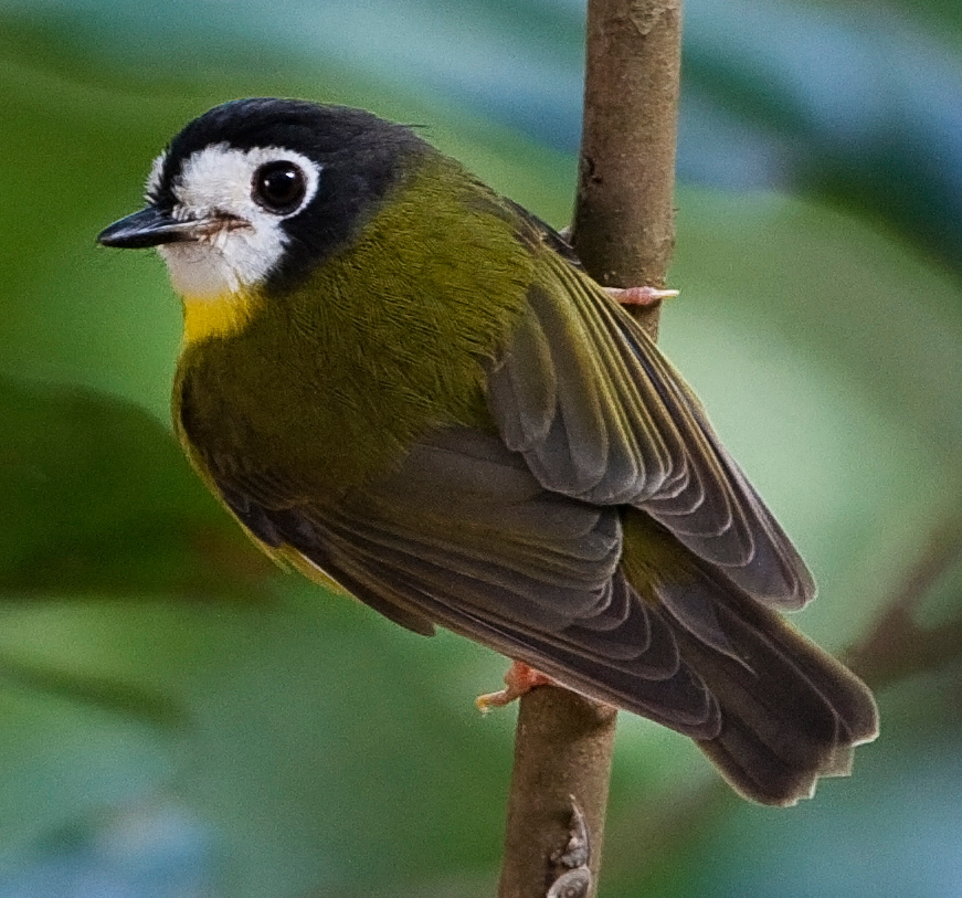 3a8ed333-2ea7-4fb8-8494-d610098f4293