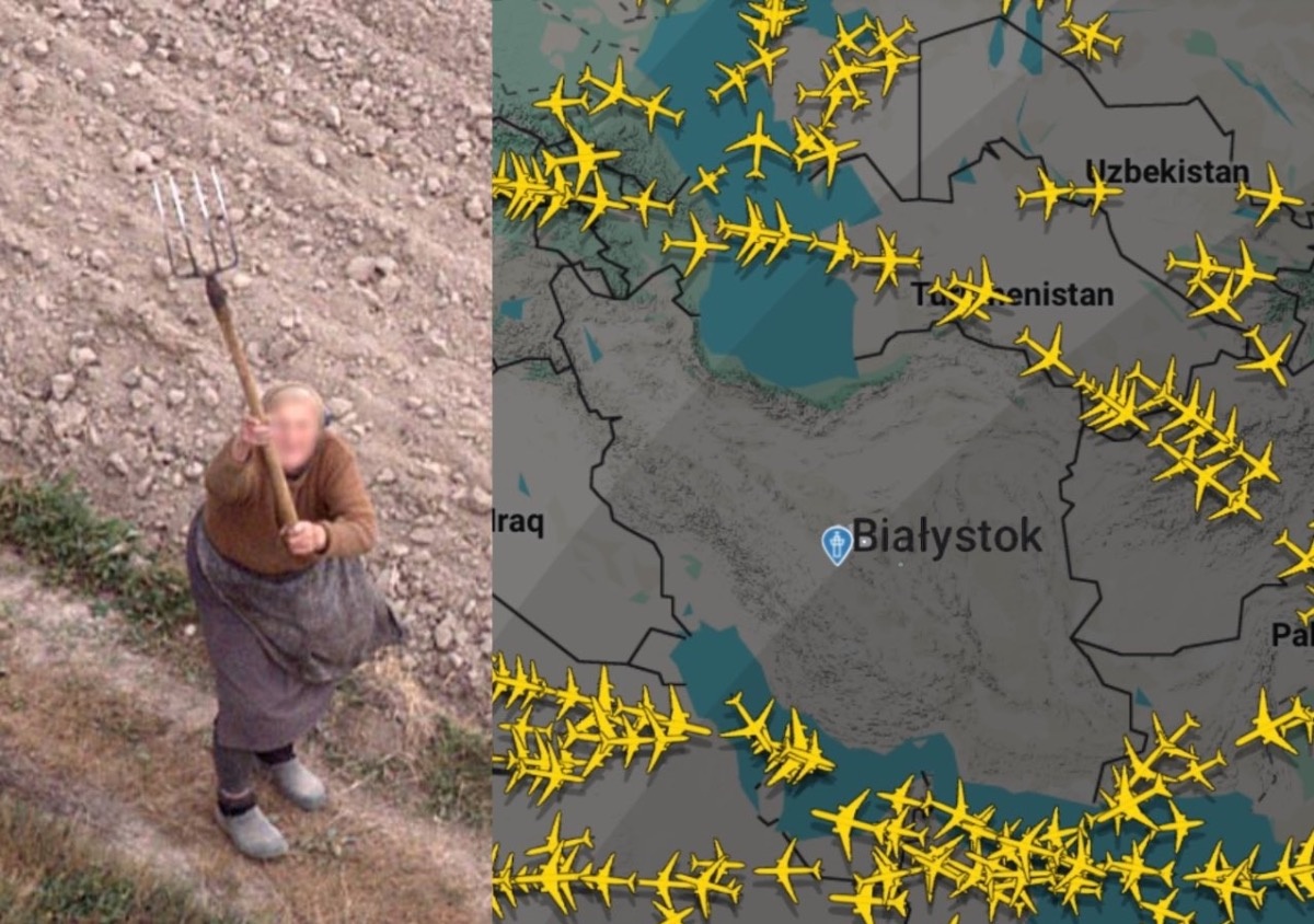 0aedfb64-ca95-4d41-8c63-2d32e7964181