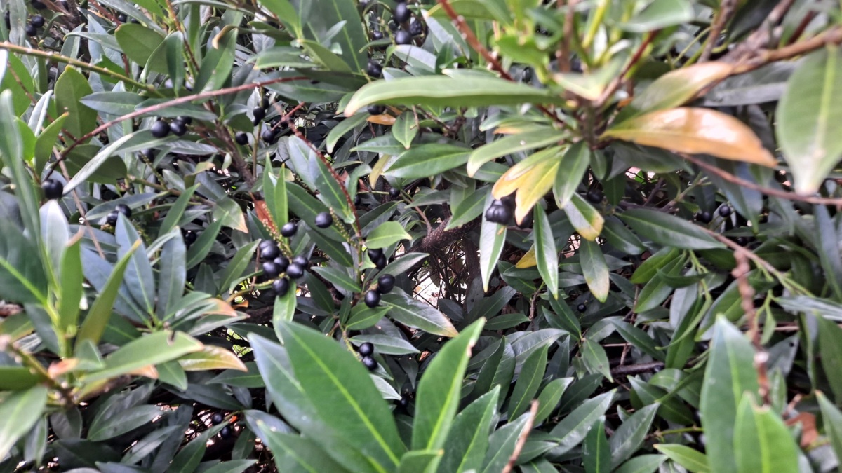 817c0490-b3f3-4a6e-88a4-0ff5d3a9becc