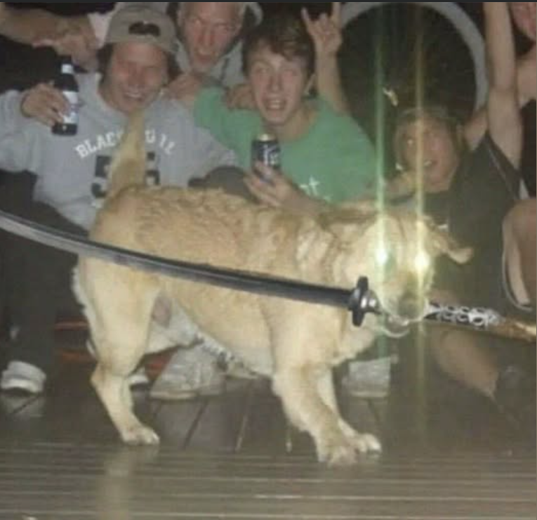 12d16d5e-9e80-4dec-959b-3a225a0bb1bc