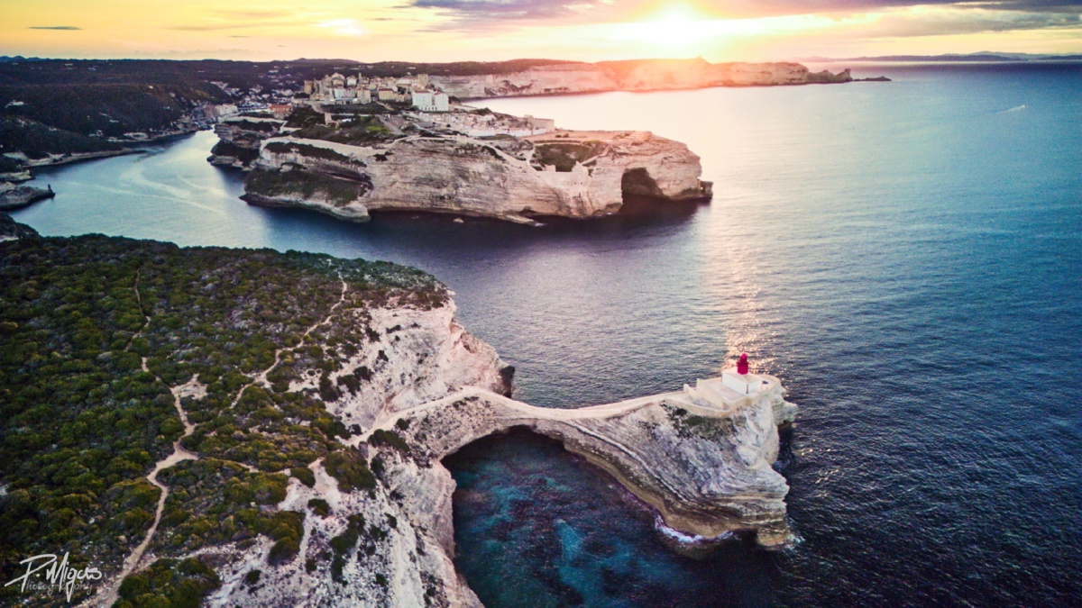 f4f0fb6c-c915-494a-9215-d5ec06bea283