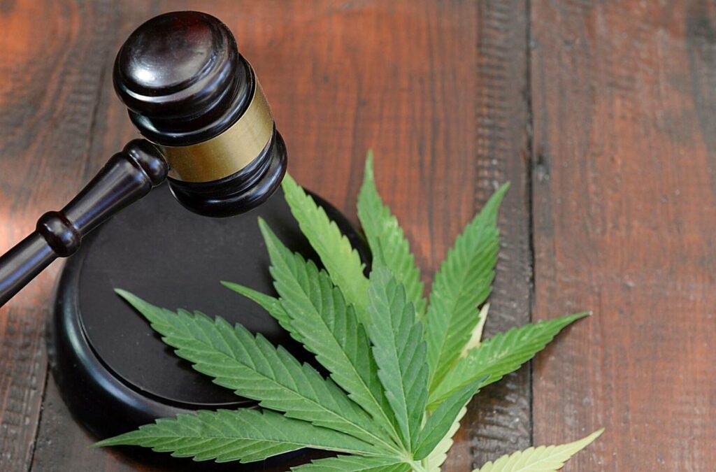 Koniec E-Wizyt na Medyczną Marihuanę w Polsce - Podsumowanie