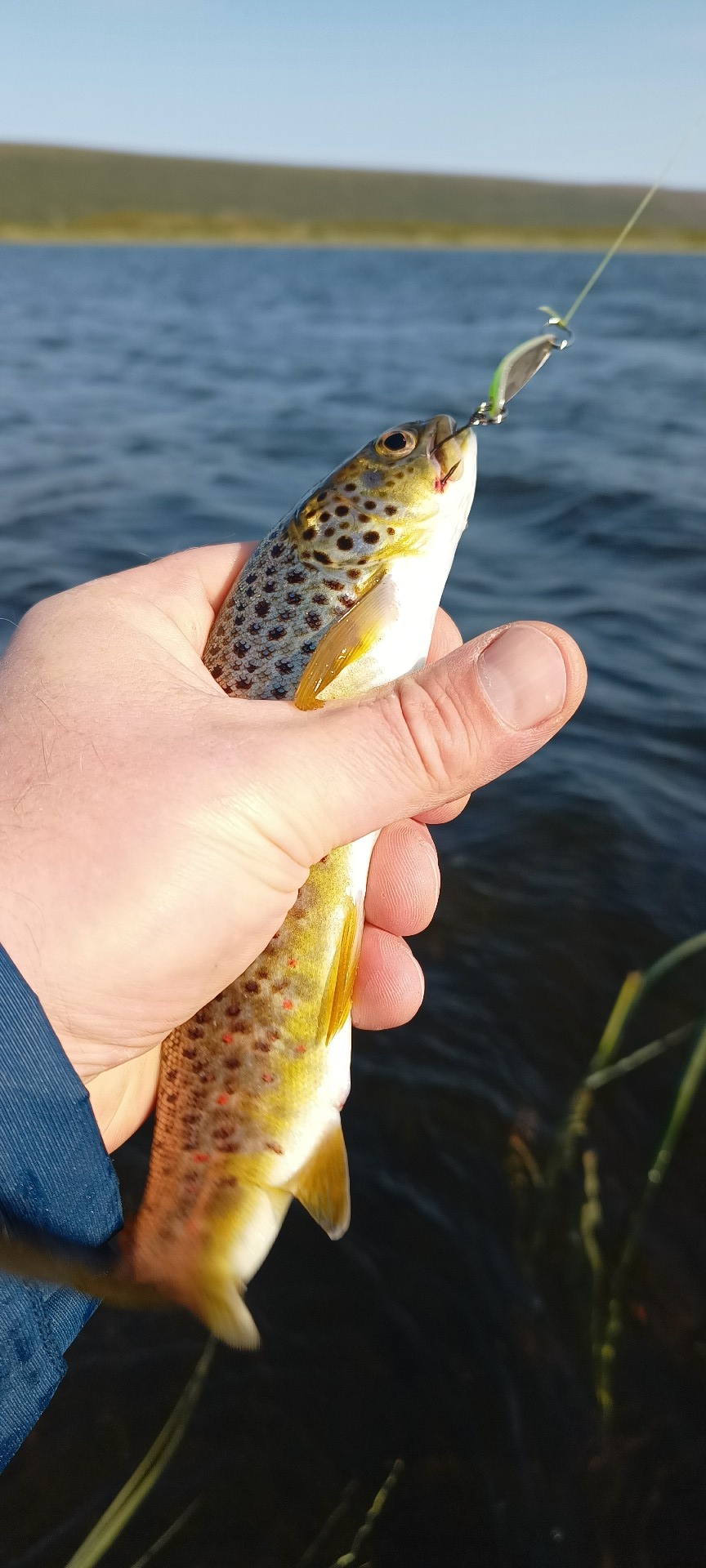 74c6e658-3174-47dc-8ecb-23b6d860f9f5