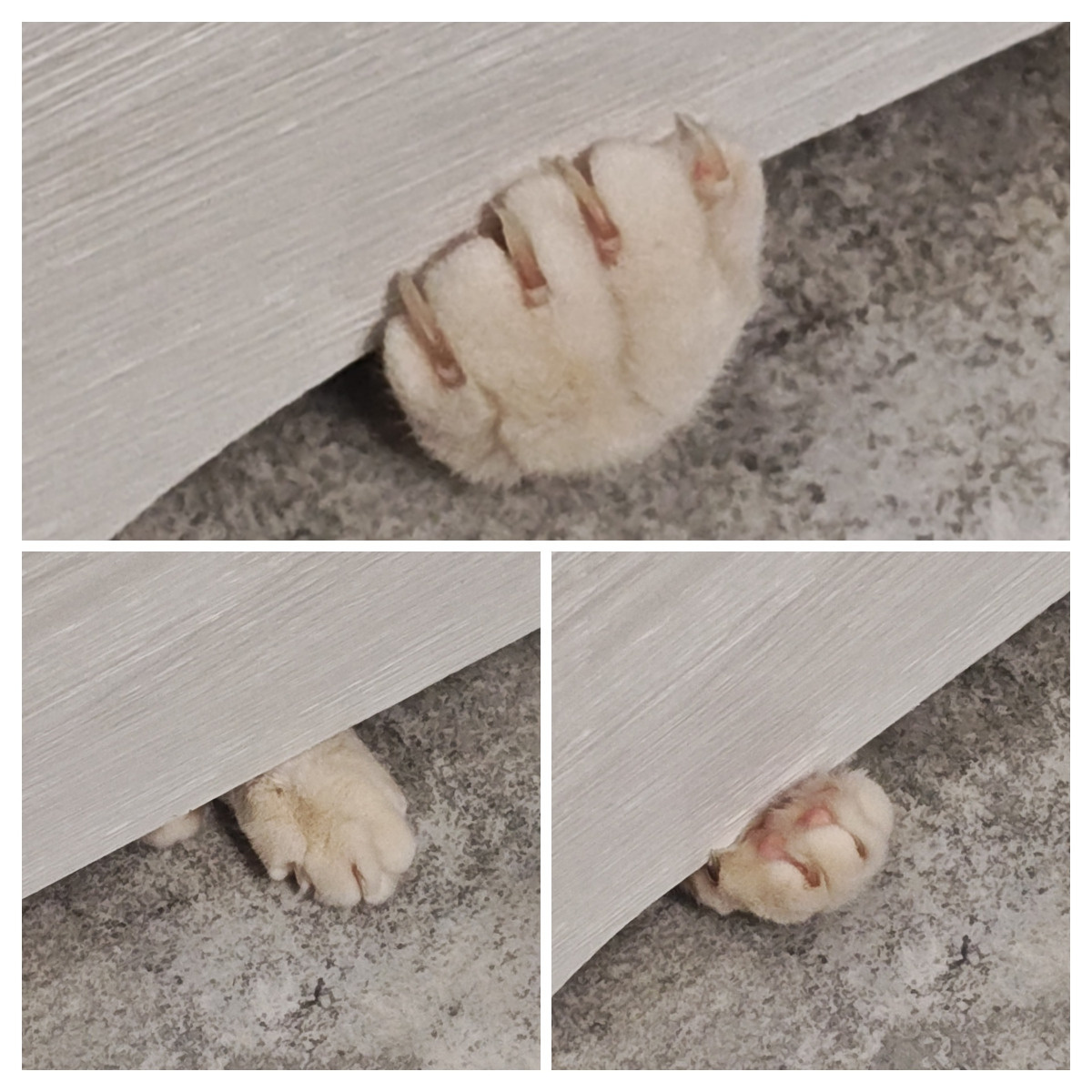 8351eb3b-dc5b-438f-9613-029c854e36a0