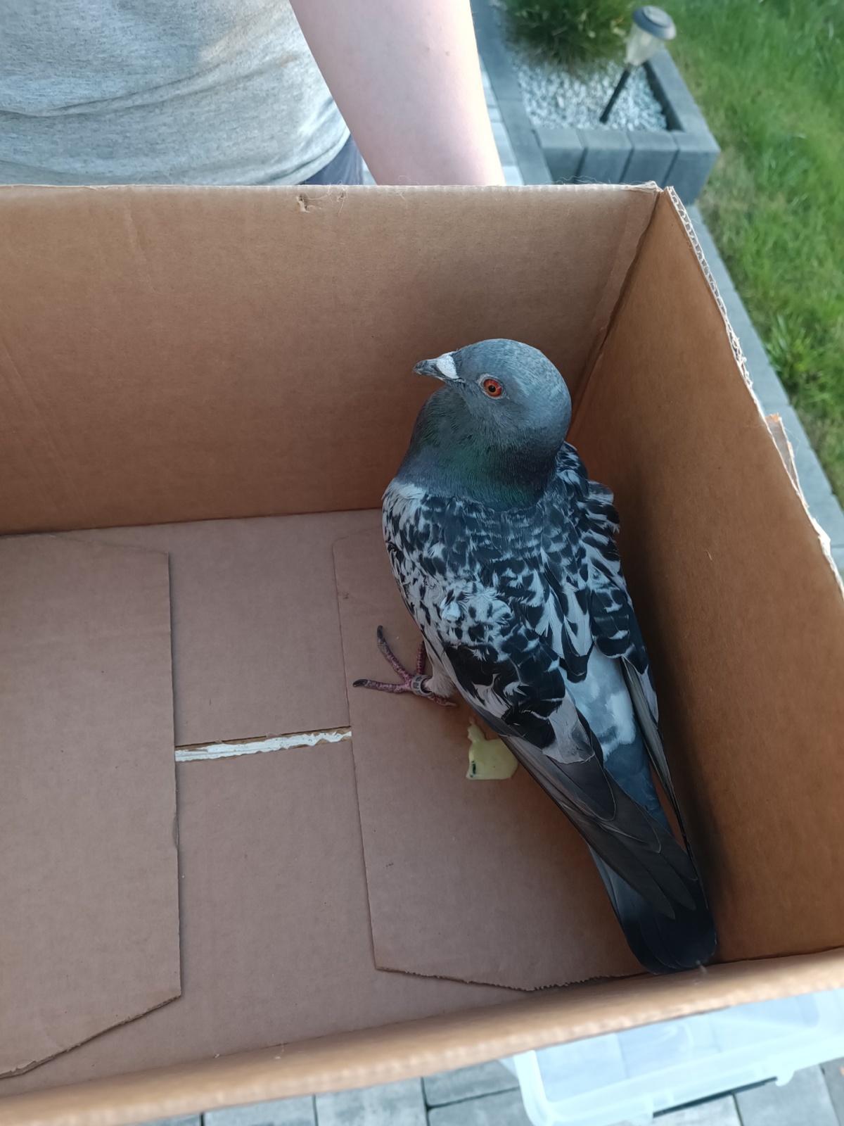 bdee988b-8fab-4c27-94f0-c6ce5c6adf1a