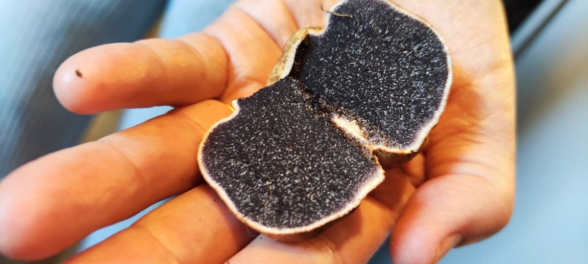 d109245f-d3f7-4d3e-82f9-66ad4a8915c8