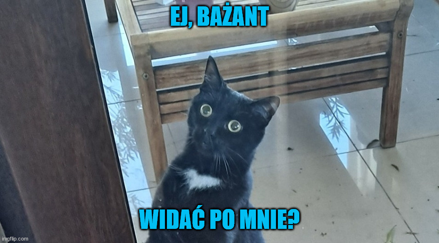 4115feab-5e37-43c0-b8c8-4268478ffd9f