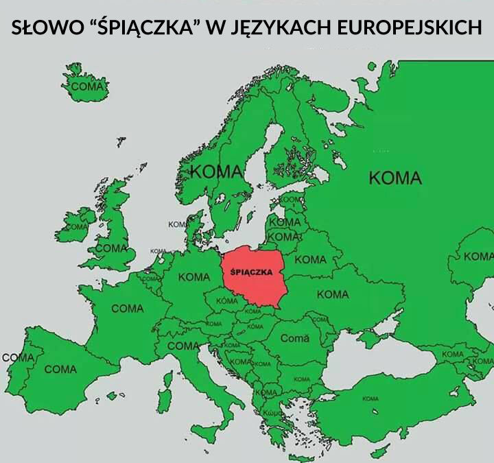 45b7ed32-34c1-4ce0-9d13-89b6af18ca14