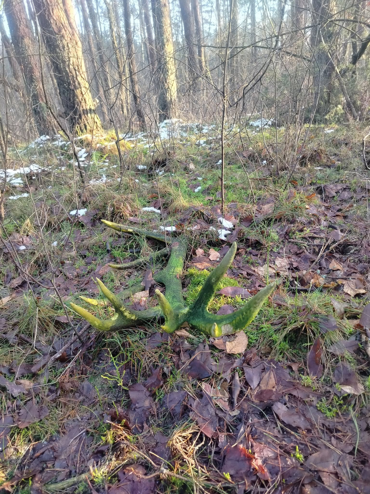 c5528437-e637-48bf-bd0e-e9a6881bfd8a