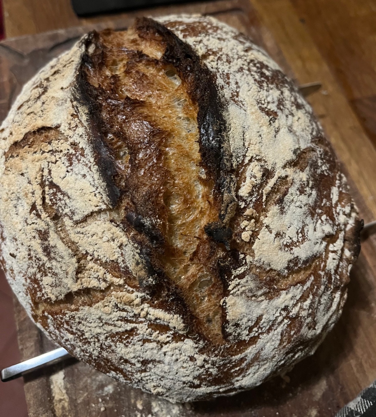 b8b13615-02c3-4fb7-9415-e69a1d081ea9