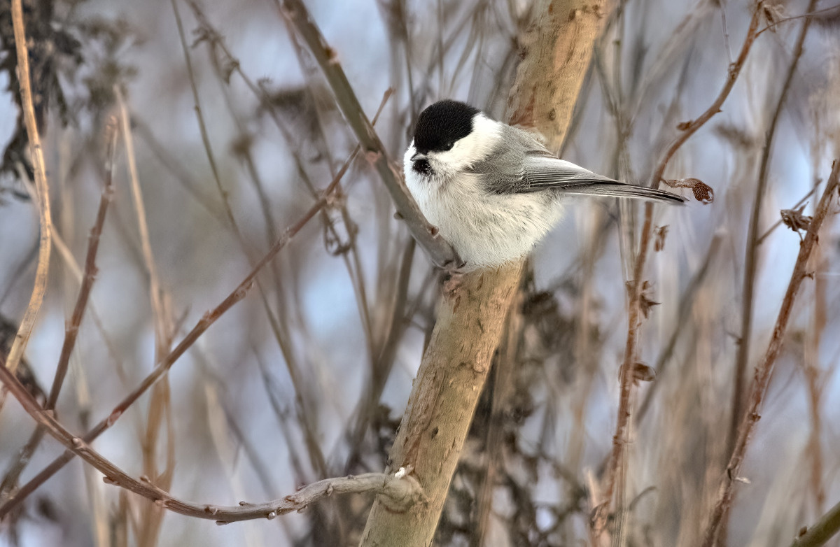 3880adc6-efeb-48d3-8104-e3513452968f