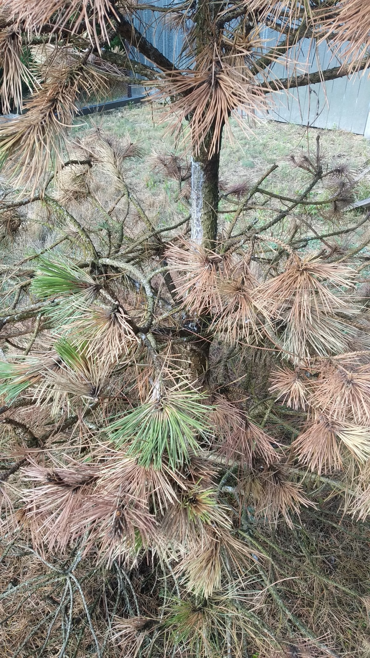 4b0a795b-421b-4ce4-aaec-258773b3822c