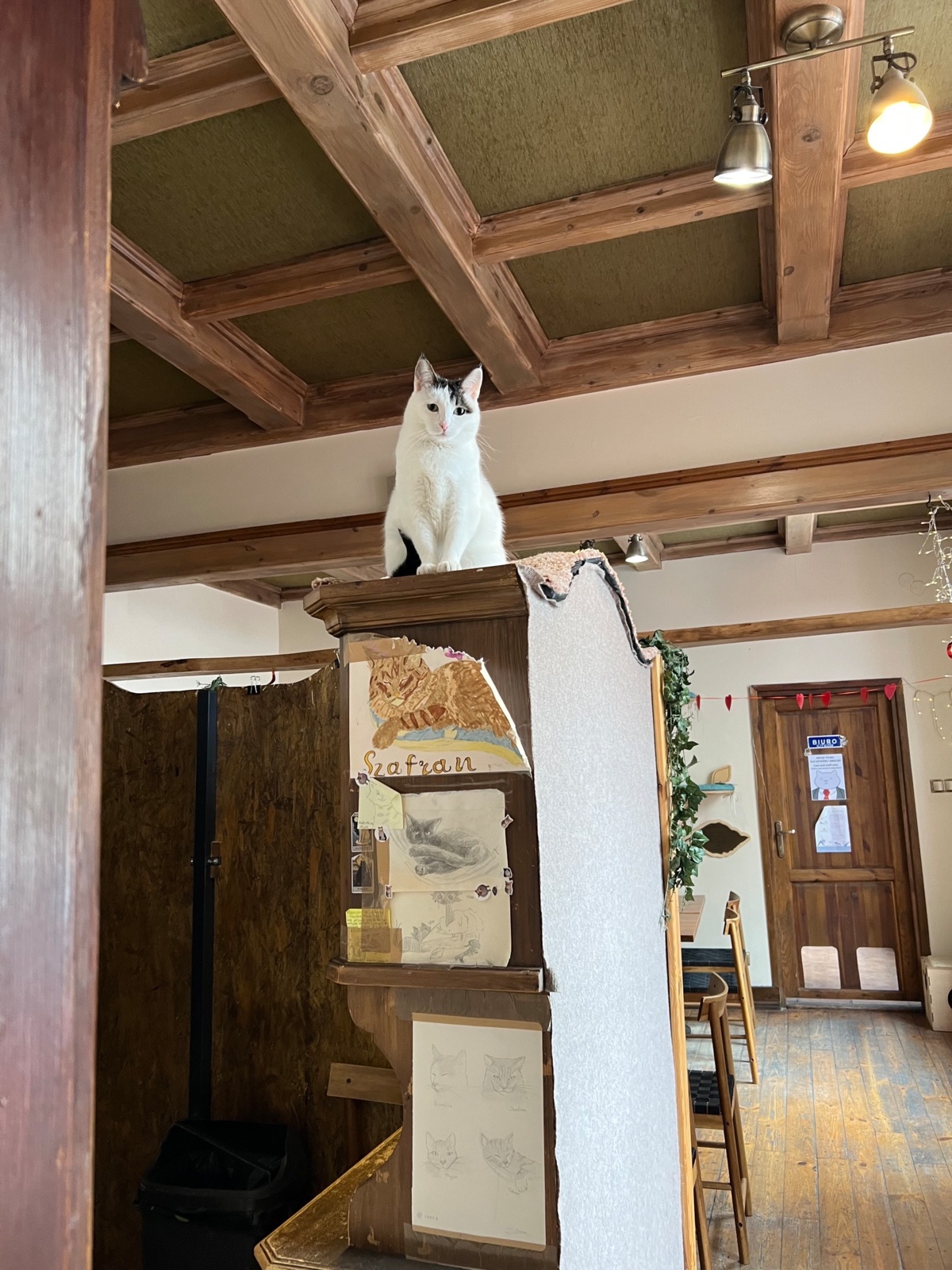 e26307fb-6876-4d11-9f46-c5426d780fb6