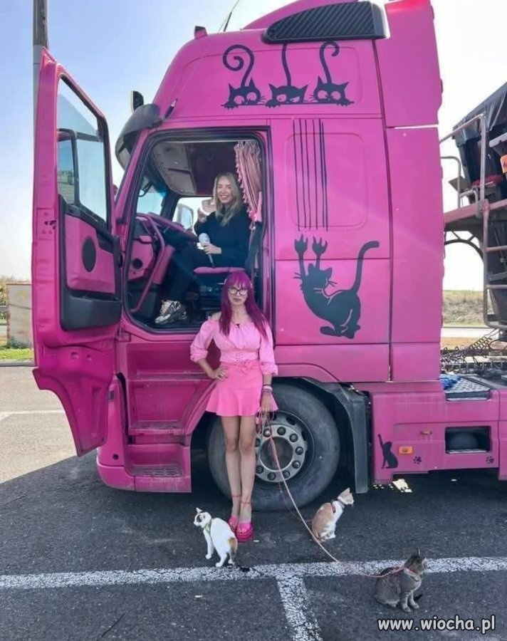 766e3a87-4bd9-4867-81fd-78657bae1313