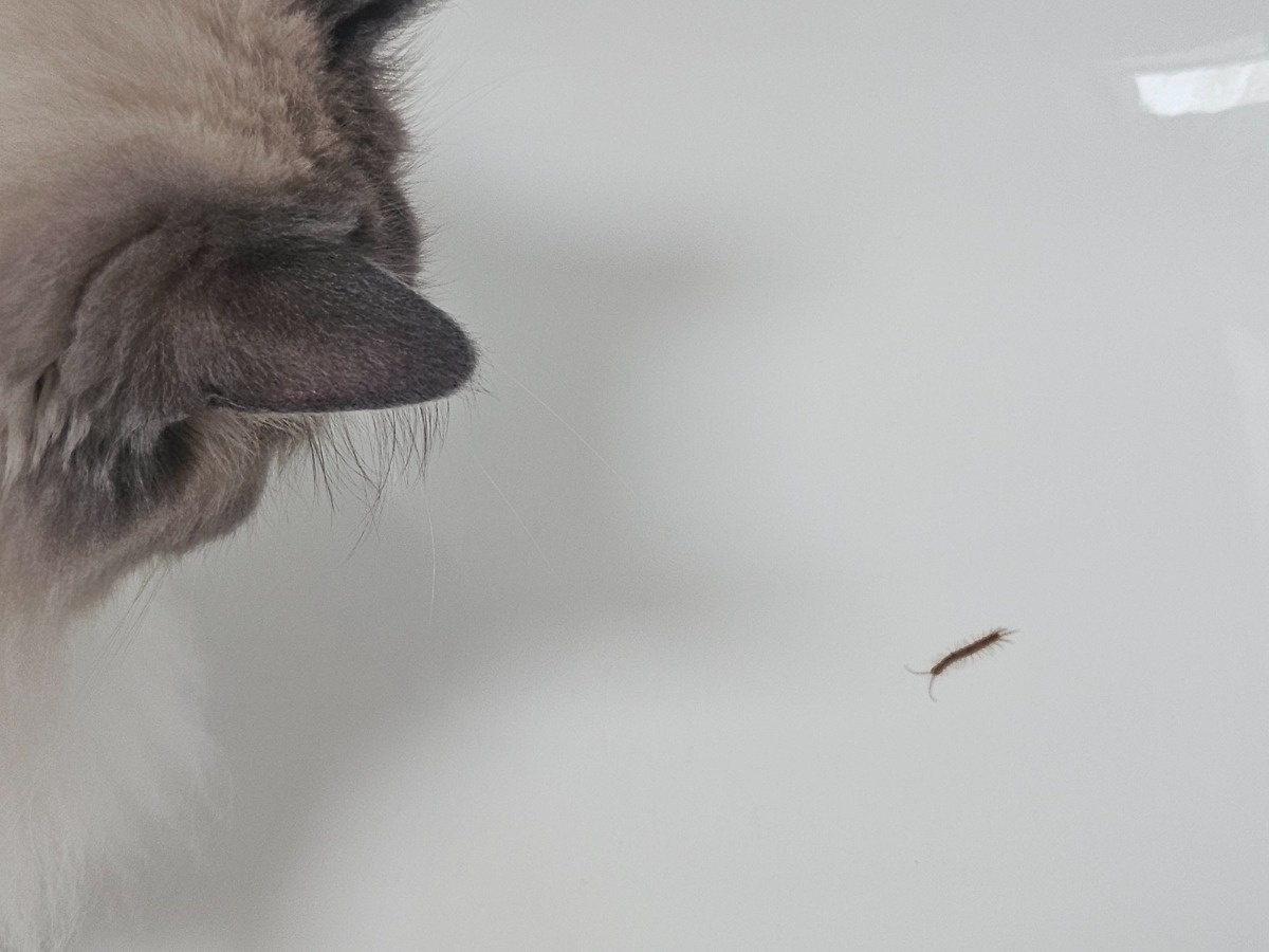 8174b197-8929-4103-b38d-8cd0127a1abe