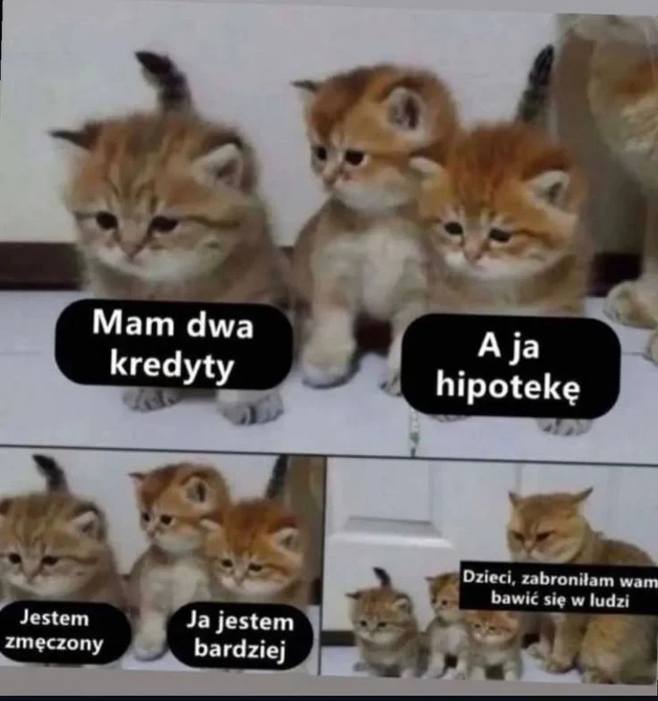 3cae2e0f-f01d-484b-ba78-6ccb6b3ec09b