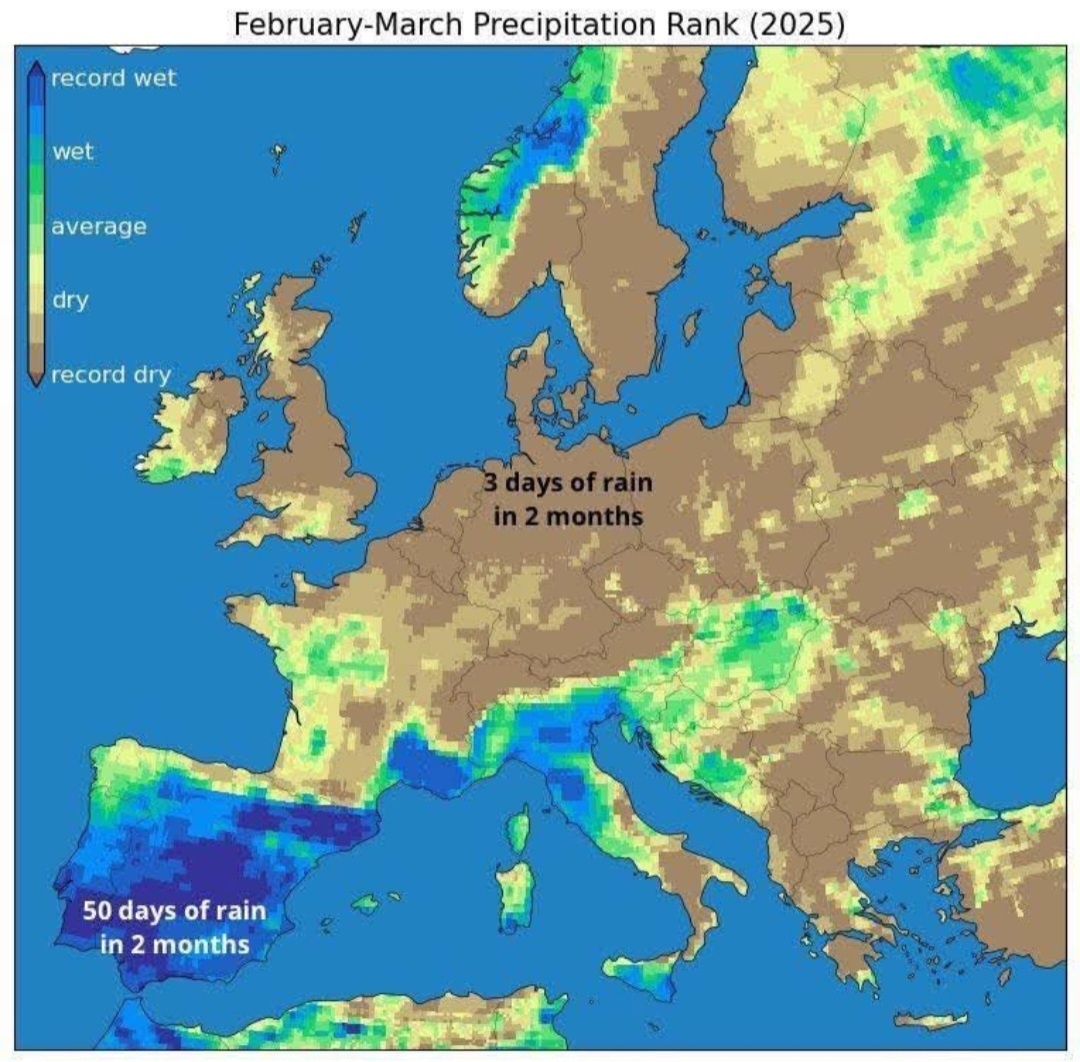 3dae877c-8417-4464-bd9a-0cef055d2fad